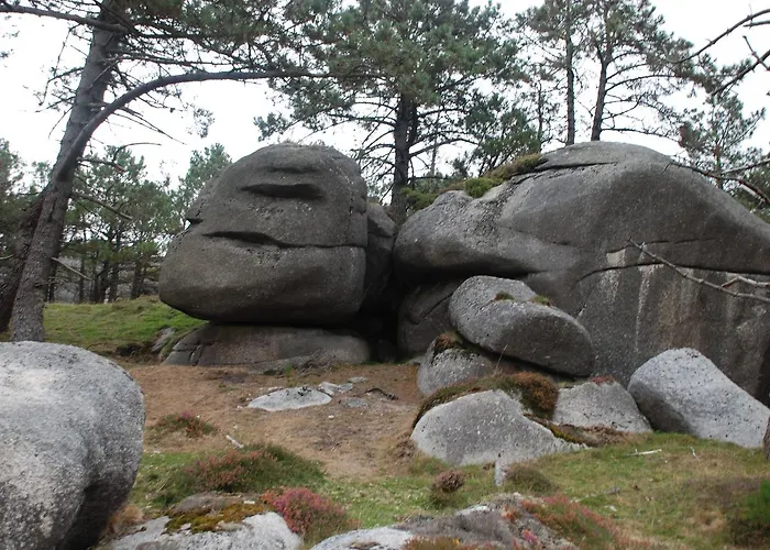 ホステル Xabarin *