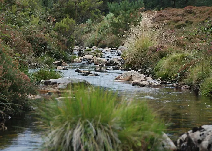 Xabarin ホステル